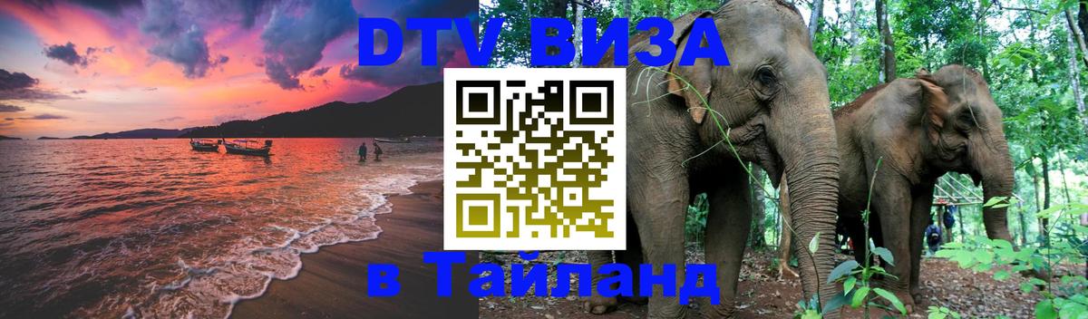 Сколько стоит DTV виза — актуальные цены, оформление даже без документов - 04.12.2025 